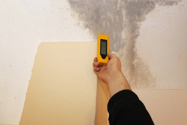 Asbestos and Lead Testing During Mold Inspection in Wetumka, OK