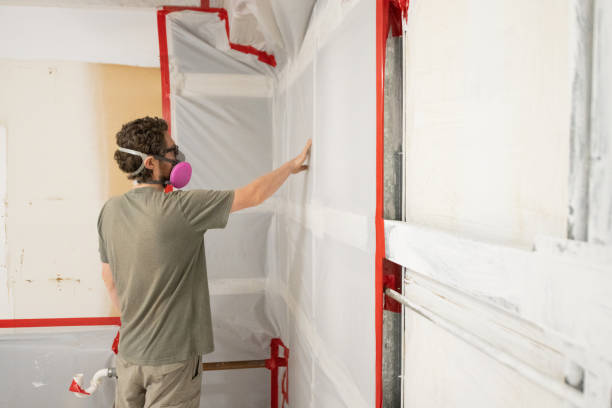 Best Mold Remediation for Vacation Homes  in Wetumka, OK