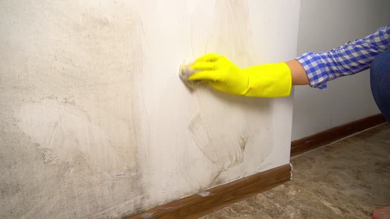 Best Airborne Mold Testing  in Wetumka, OK