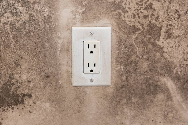 Trusted Wetumka, OK Mold Removal Experts